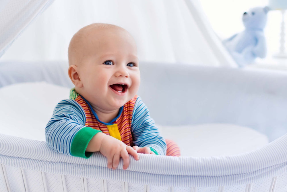 Stop Wondering How Big a Bassinet Mattress Is: Read This Instead - DynastyMattress